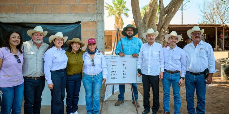 El Gobernador Durazo y Sader garantizan apoyo al campo sonorense con estrategia de reconversión de cultivos