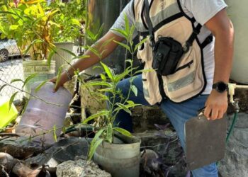 SSG llama a reforzar medidas preventivas contra el dengue ante temporada de lluvia