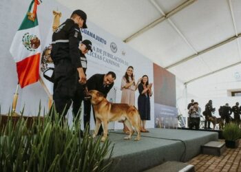 Hoy se jubilan 10 caninos de la Unidad K9, ¡Misión Cumplida!: Libia Dennise