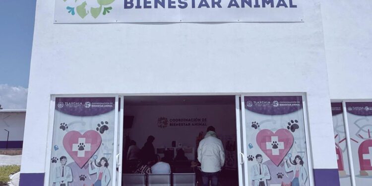 Destaca Coordinación Estatal de Bienestar Animal más de 9 mil atenciones en 2026