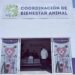 Destaca Coordinación Estatal de Bienestar Animal más de 9 mil atenciones en 2026