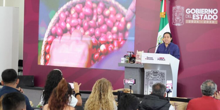 Puebla lidera cafeticultura nacional y fortalece soberanía alimentaria con impulso del gobierno estatal