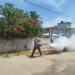 Refuerza Salud Guerrero acciones preventivas contra el dengue