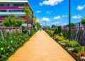Paisaje urbano, jardines flotantes y corredores florales mundialistas podrían terminar en zonas abandonadas por falta de una política integral de mantenimiento y riego