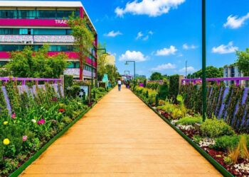 Paisaje urbano, jardines flotantes y corredores florales mundialistas podrían terminar en zonas abandonadas por falta de una política integral de mantenimiento y riego