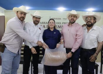 Entrega gobernadora Yeraldine semilla de sorgo a más de 3 mil 800 ganaderos de Sinaloa