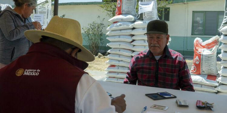 Fertilizantes para el Bienestar apoya a 1.9 millones de productoras y productores en el primer semestre