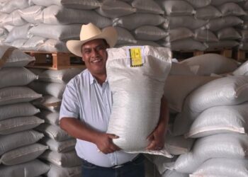 Más de 18 mil productoras y productores recibirán semilla certificada de frijol en Durango y Zacatecas