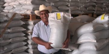 Más de 18 mil productoras y productores recibirán semilla certificada de frijol en Durango y Zacatecas
