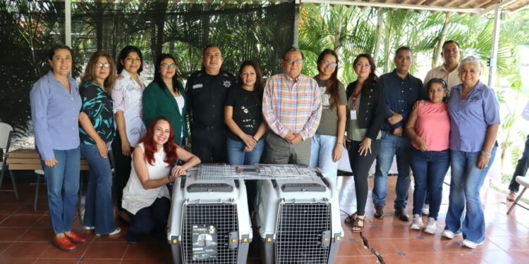Entrega SEMAREN equipo a asociaciones animalistas para fortalecer el bienestar animal en Guerrero