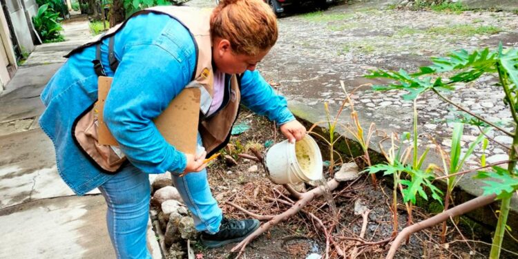 Colima, CDMX, Tlaxcala y Zacatecas, únicas entidades sin casos de dengue