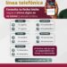 CRT anuncia calendario y fechas límite para registro de líneas