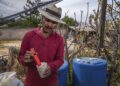 Más de 170 mil productores se capacitan en las Escuelas de Campo de AGRICULTURA
