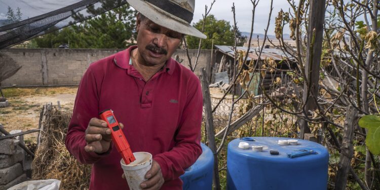 Más de 170 mil productores se capacitan en las Escuelas de Campo de AGRICULTURA
