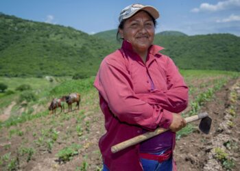 Más de 1.1 millones de personas indígenas y afromexicanas reciben apoyos de Producción para el Bienestar