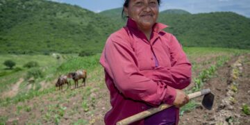 Más de 1.1 millones de personas indígenas y afromexicanas reciben apoyos de Producción para el Bienestar