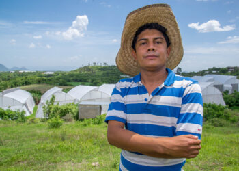 Entrega AGRICULTURA 1,763 créditos Cosechando Soberanía en Tamaulipas