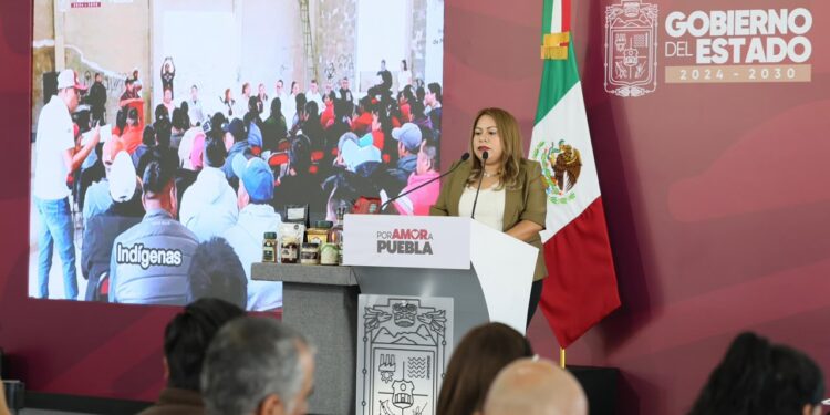 Promueve gobierno de Puebla participación indígena con consulta para consejos regionales