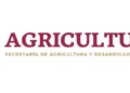 AGRICULTURA alerta por fraude mediante falsos oficios de patrocinio