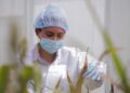 AGRICULTURA y Gobierno de Tamaulipas refuerzan la sanidad e inocuidad agroalimentaria con 103.1 mdp