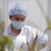 AGRICULTURA y Gobierno de Tamaulipas refuerzan la sanidad e inocuidad agroalimentaria con 103.1 mdp
