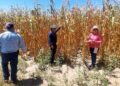 Gobierno estatal mantiene atención a productores afectados por sequía