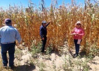 Gobierno estatal mantiene atención a productores afectados por sequía