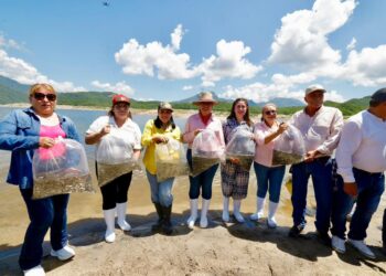 Haremos las gestiones necesarias para que la pesca de Sinaloa tenga mayores apoyos, anuncia Gobernadora Graciela Domínguez